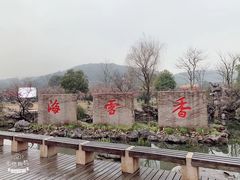 -香雪海