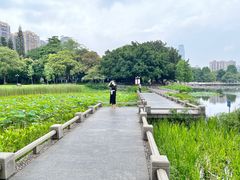 -东山湖公园
