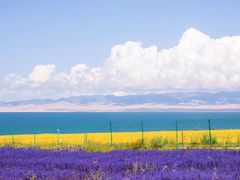 -青海湖国家重点风景名胜区