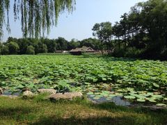 -承德避暑山庄景区