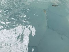 -威海天沐度假区温泉