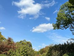 -东园小馆·早茶·淮扬小炒(宋夹城店)