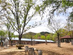 -石家庄市动物园