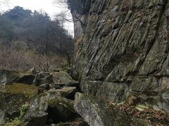 -王顺山国家森林公园