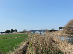 -莲花岛景区