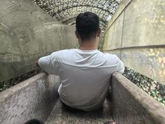 -秦岭终南山世界地质公园翠华山景区