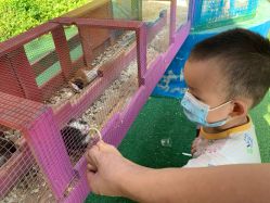 -萌宠亲子动物乐园(槐房万达店)