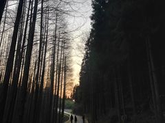 -山王坪喀斯特国家生态公园
