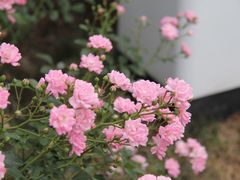 -中海环宇荟