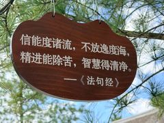 -慈恩寺