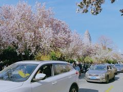 -天津五大道文化旅游区