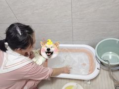 -汇慈安·高端自营月嫂(武汉月子尊享店)