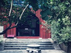-大觉寺-停车场