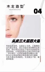 -木北造型