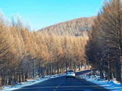 -塞罕坝国家级自然保护区