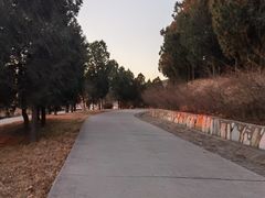 -北京西山国家森林公园