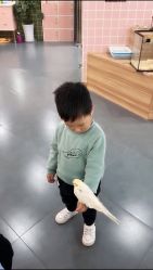 -Moni星球萌宠·小马宝莉·灵蛇·高端高阶全萌宠互动体验俱乐部(红豆国际广场店)