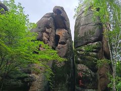 -汤旺河林海奇石景区