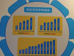 -博沃思·专注力·心理咨询·家庭教育(世豪中心)