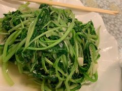 -文三里屯面馆(三里屯店)