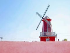 -羊亭河湿地公园