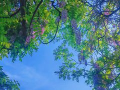 -大连植物园