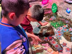 -沈阳海洋探索中心