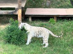 -石家庄市动物园