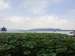 -新丰小吃(中山中路分店)