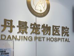 -丹景宠物医院·全科·老年病·牙科(武昌诊疗中心)