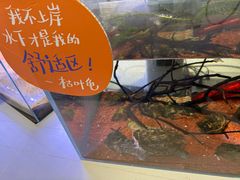 -中国湿地博物馆