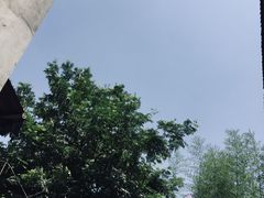 -小河无名面馆