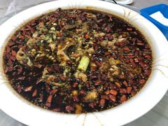 来凤鱼-西木兔(大圆祥店)