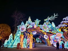 -淄博花灯齐彩城
