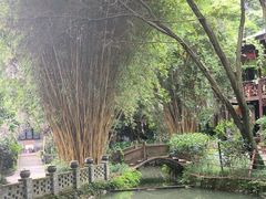 -土砂锅生态山庄·非遗砂锅雅鱼