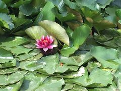 -青州市云门山风景区