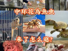 -中环花鸟鱼虫市场