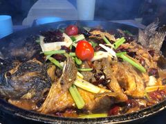 -老板恋上鱼(恒隆广场店)