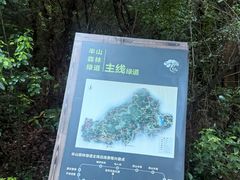 -杭州半山国家森林公园