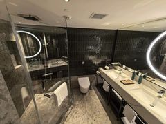 -新加坡乌节希尔顿酒店 (SG Clean)