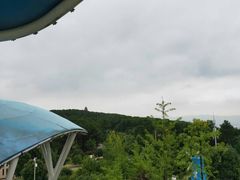 -铁山坪森林公园