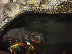 -茶米人台湾料理·精致快简餐