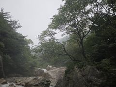 -无染寺