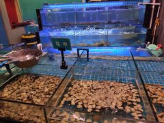 -领鲜活海鲜榴莲自助火锅(东门店)