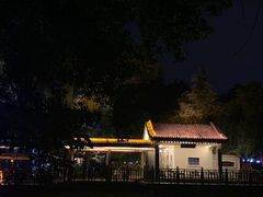 -西苑公园