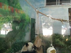 -无锡动物园·太湖欢乐园