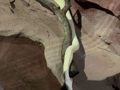 -长鹿旅游休博园