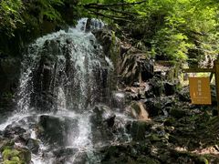 -本溪汤沟绿石谷森林公园