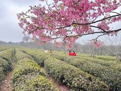 -凤凰沟景区