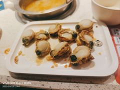 蛤蜊扇贝-龍歌自助小火锅(崂山丽达店)